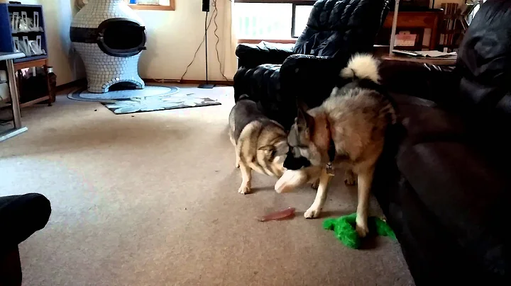 1029150946.mp4