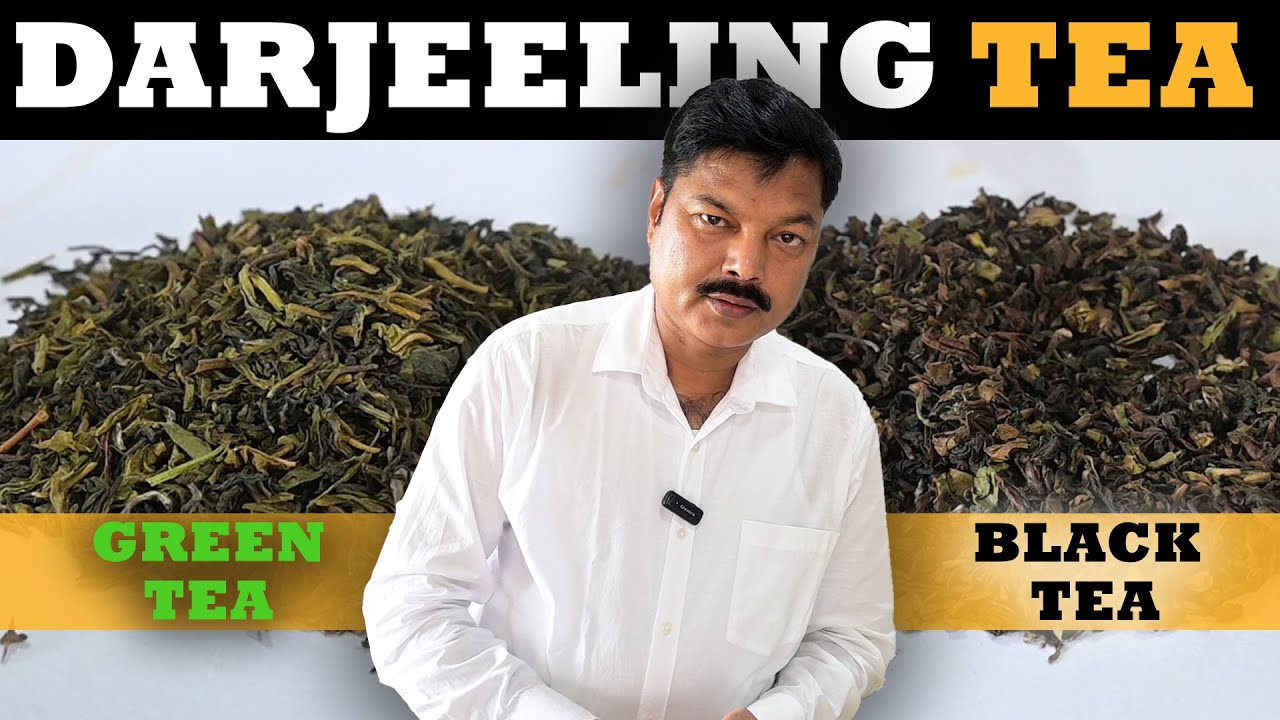 Darjeeling Green & Black Tea: Special Grade Review | दार्जिलिंग टी 