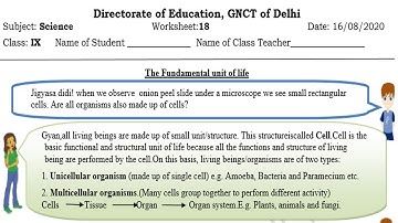Science Worksheet 18 Class 9 (16/8/2021) English Medium | Worksheet 18 Science Class 9 | Answers |