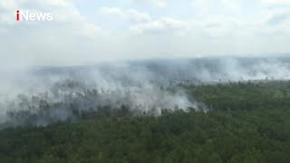Puluhan Hektar Lahan Gambut di Jambi Terbakar - iNews Siang 06/08