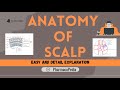 Scalp - Anatomy | Easy and Detail Explanation.