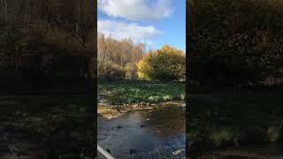 IMG 4009 ж