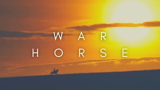 The Beauty Of War Horse