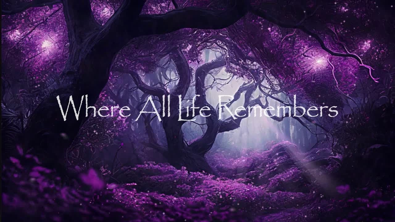 Where All Life Remembers - Inspired by Avatar