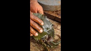 Giant crab fastest cleaning and cutting, Subscribe for amazing fish cutting videos. shorts