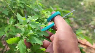 វិធីនិងការថែទាំដំណាំងាយៗ - Easy Gardening Tips by SKP LIFESTYLE 81 views 1 year ago 6 minutes, 22 seconds