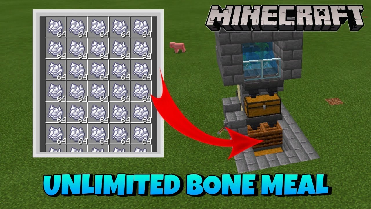 എങ്ങനെ !!! How to make automatic bone meal farm Minecraft pocket ...