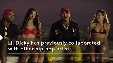 Lil Dicky - "Freaky Friday" Footnotes ft. Chris Brown