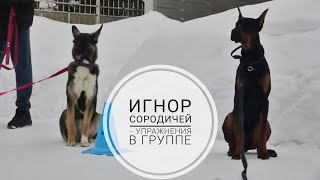 Игнор сородичей  упражнения в группе