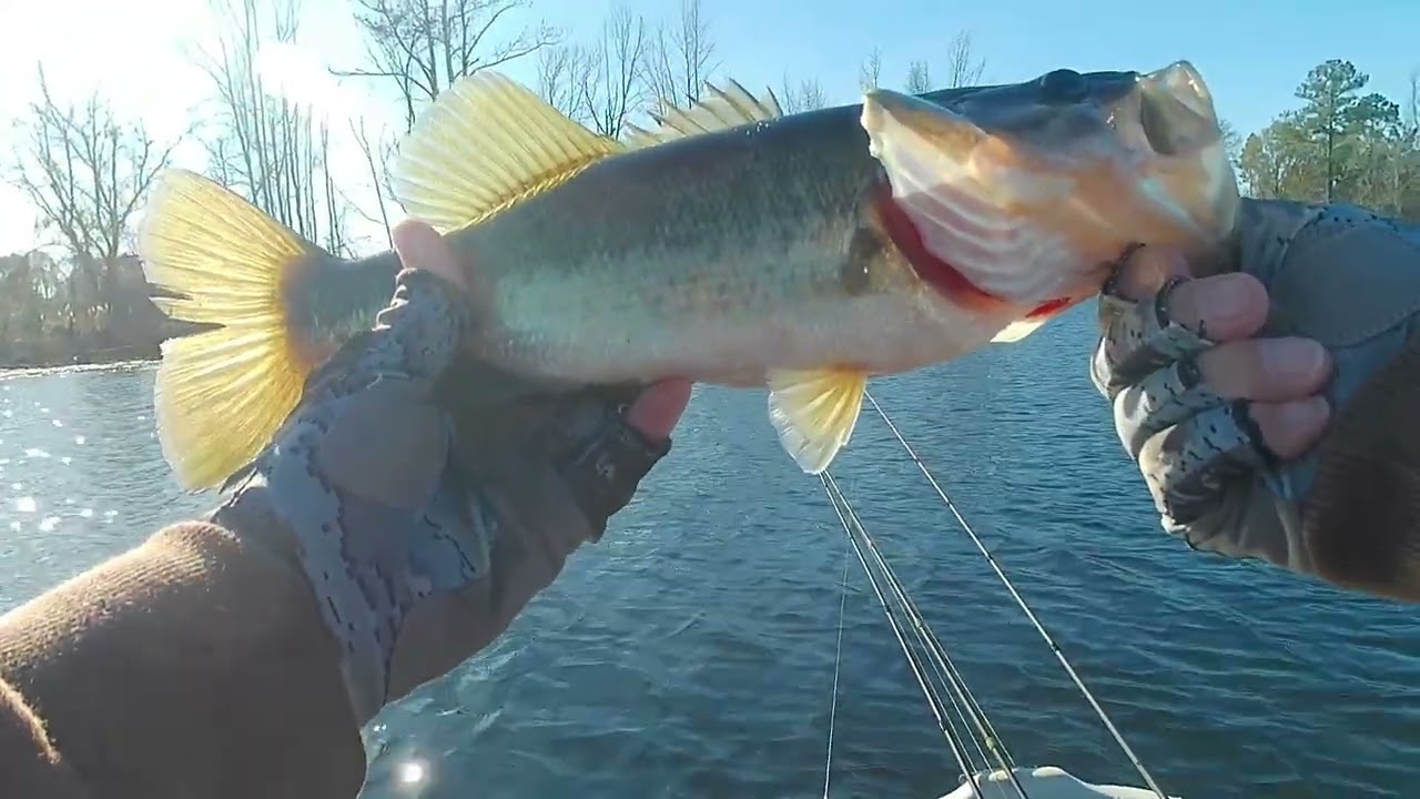 Bass Fishing In Cold, Windy Conditions!