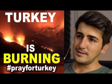 Video: Q @ A: Metzgerei Und Thanksgiving In Der Türkei Mit Zeph Shepard