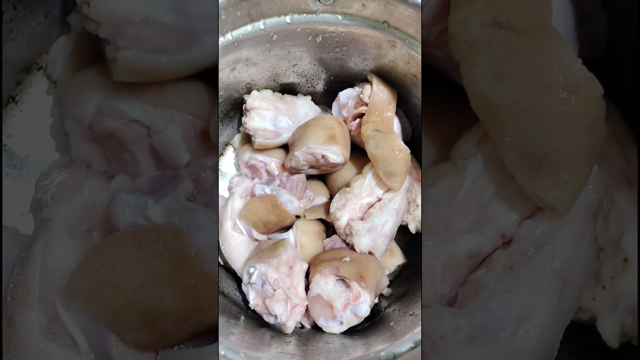 Ngan pyni sha phi kumno ban shet ia ka kjat sniang syrwa😋