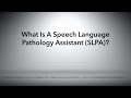What is a Speech Language Pathology Assistant (SLPA)?
