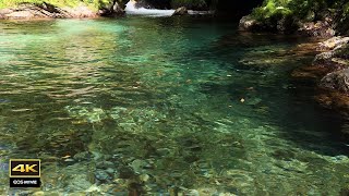 4K video + natural environmental sound ASMR / October Enbara River