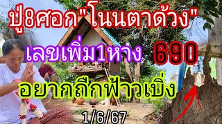 พี่ชัยขอปู่8ศอก690ปู่โนนตาด้วงเพิ่ม1หางอยากถืกเบิงเอา1/6/67