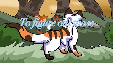 Time to time // Warriors OC PMV M.A.P part 8 for Devonsona