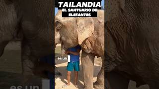 Tailandia: Santuario de Elefantes