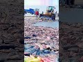 Ice Fishing: Loading Tons of Fish on Frozen Lake! ❄️🐟