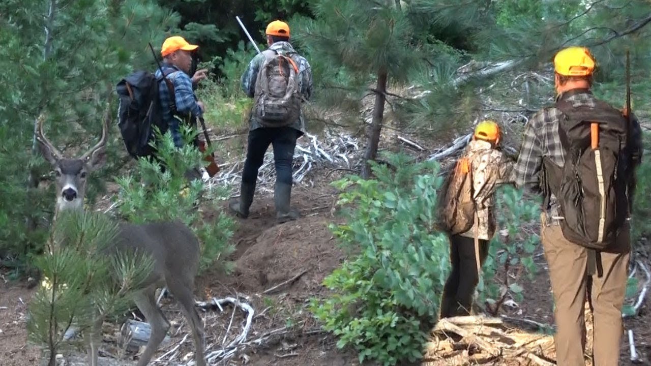 California Deer Hunting 2019 - Yos Hav Zoov Tua Mos Lwj 