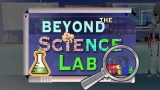 Beyond the Science Lab: Hot Air Ballon Experiment