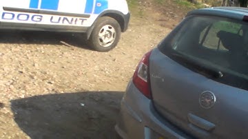 European Trained Drug Dog Finding Scentlogix Marijuana