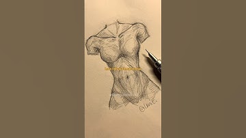 how i draw female torso #leniepabelonia #art #femaletorsotutorial #tutorial