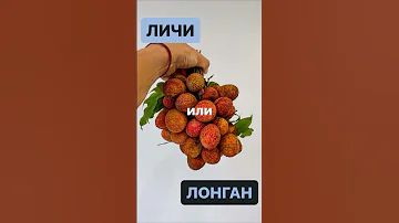 Личи или лонган | Что вкуснее | Экзотические фрукты | Обзор фруктов | Затерянные в путешествии