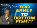 Bottom fishing with the magnificent 7 stocks are they worth it  vectorvest