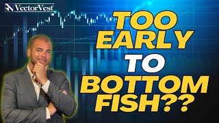 Bottom Fishing With The Magnificent 7 Stocks: Are They Worth It? | VectorVest