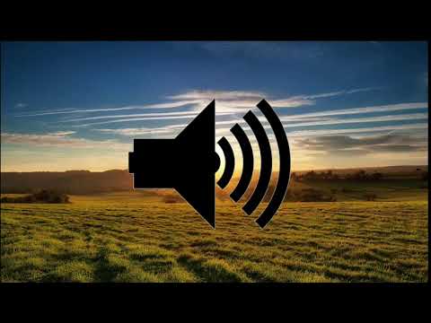 efek-suara-transisi---sound-effects-transisi