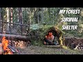 Bushcraft Camping Building a Shelter Near Fallen Trees. Protection from Rain and Wild Animals.