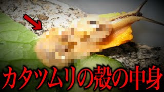 【衝撃】意味が分かると怖い話がツッコミどころ満載だったwwwwww#44【なろ屋】【ツッコミ】【都市伝説】