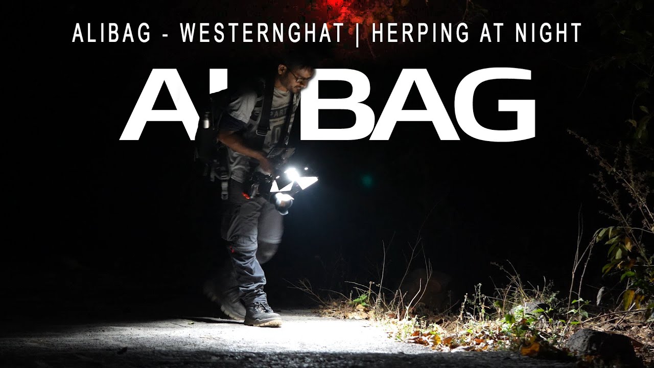 Alibag - Western Ghat | Herping