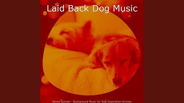 Remarkable Music for Calming Your Dog
