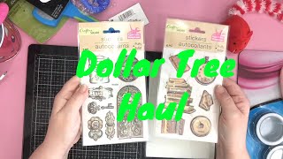 Dollar Tree Haul #4
Its time for yet another Dollar Tree Haul of Crafting goodness, cat toys, plus some other necessities. Hope you are inspired to get crafty for little money.
#craft #dollartree #dollarstore #craftingonabudget #dollarama #haul #supplies #cutecats #catlover
Made for mature (13 yr+) audience only.
Learn easy crafts and more, including hauls of crafty goodness here.
Note, that I also work as a Designer, Influencer, and Digital Content Creator for the Arts, and Crafts Industry. As such, I have affiliate links with several companies which do pay me a commission for any sale leads I generate. These support the growth of this channel. I thank you in advance for your participation.
Music: Carefree by Kevin MacLeod is licensed under a Creative Commons Attribution License
https://creativecommons.org/licenses/by/4.0
Source: https://incompetech.com/music/royalty-free/index.html?isrc=USUAN1400037
Artist: http://incompetech.com
Please check out my Amazon Store where you can purchase some of my favorite products that I use in my own creation and my home.
https://www.amazon.com/shop/annmakesannstreckokoeman
Follow me here:
https://www.annmakes.ca (*for business inquiries, etc. you can email me from here)
www.pinterest.com/ask93
https://twitter.com/Ask93Ann
https://www.instagram.com/ask93annmade/
For friend mail: AnnMakes, Ann Koeman, PO box 394, Ottawa Ontario Canada K0B 1A0 Dollar Tree Haul #4