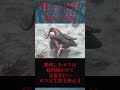 【ゆっくり解説】油断したら即死！忙しすぎる海の生き物