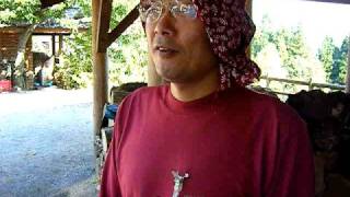 blg20081005-4