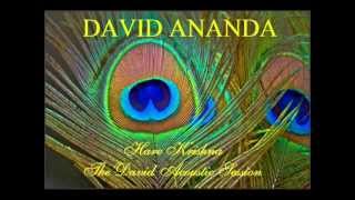 Video thumbnail of "Hare Krishna The David Acoustic Session"