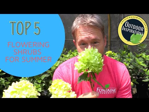 Video: Beautiful Ornamental Shrubs