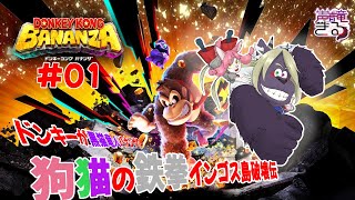 【Vtuber】ドンキーが黒猫竜人バナンザ！？狗猫の"鉄拳"インゴス島破壊伝！#1〖バナンザ〗