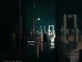 I Don’t Talk – SkyBoom Music | Official Audio