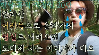 휴직 직장인 제주도 한달살기: 혼자 한라산 등반: 초보코스 어리목코스-영실코스/ 영실에서 어리목 버스이동)
