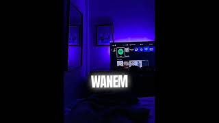 Sean Rii  solomonisland pngtuber png2025 png