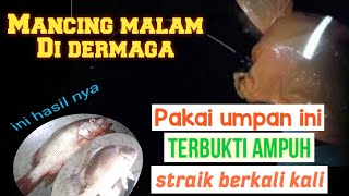 umpan jitu mancing di dermaga laut || mancing dasaran di laut malam hari banyak strike