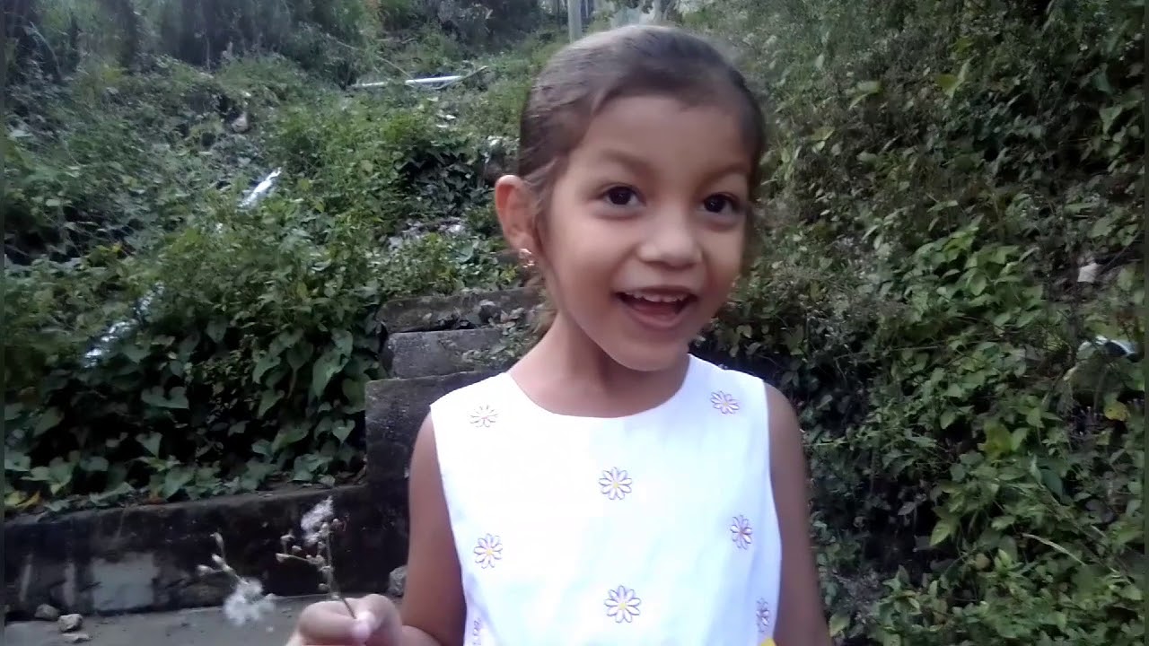 las plantas por Stacy López Maldonado