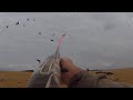 صيد البط لموسم 2022 | Chasse au canard