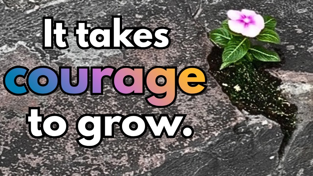 Courage+ | “grand canyon” by JULAPINK (Official Courage to Grow Music Video)