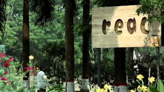 Beeboard - Billboard That Produce Honey-Adsofbd
