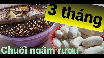 Hướng dẫn cách làm rượu chuối NTN