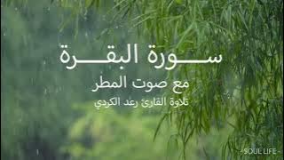 سورة البقرة - كاملة - مع صوت المطر بصوت القارئ رعد الكردي